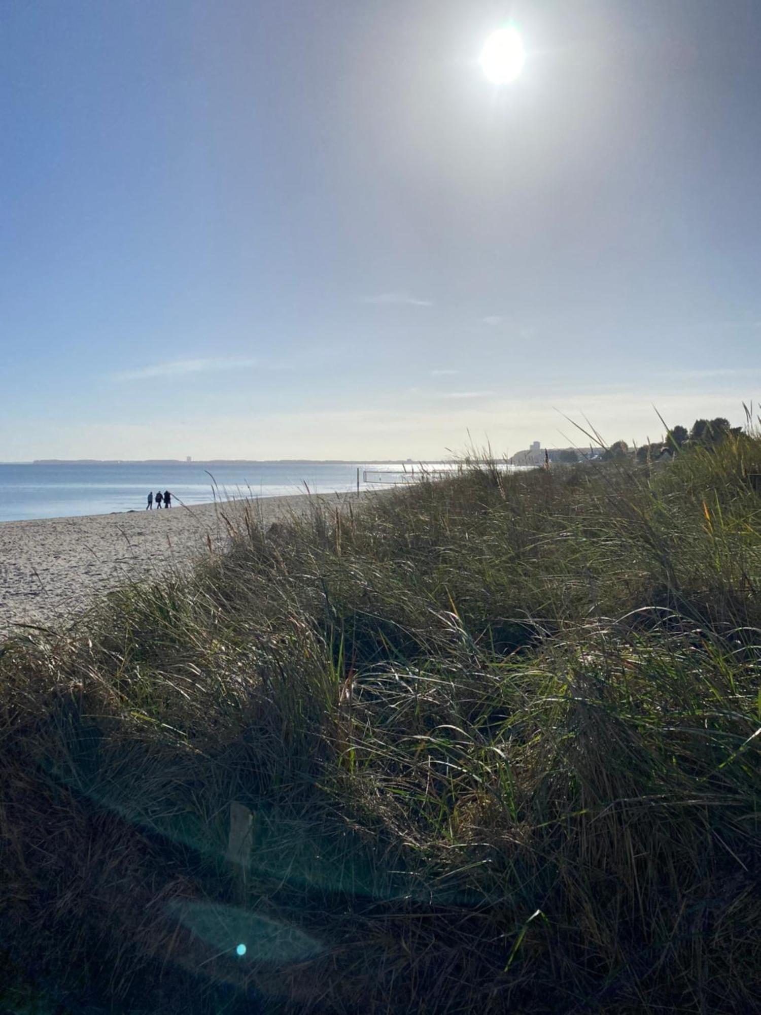 Beach House Chalet Seeparx Suesel Susel Exteriör bild