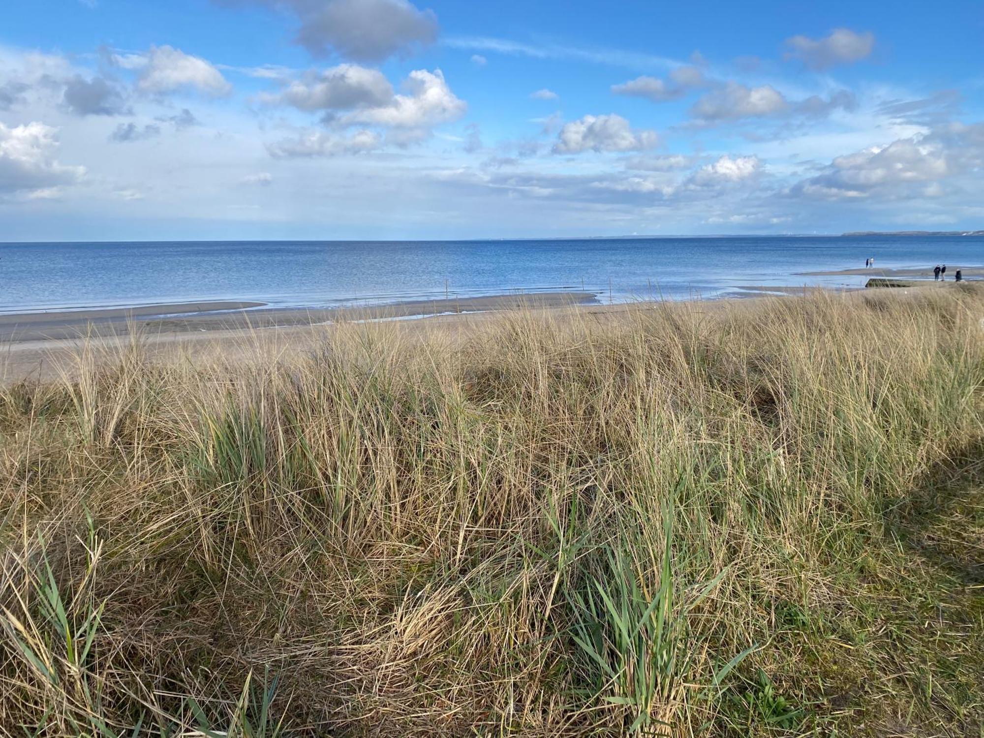 Beach House Chalet Seeparx Suesel Susel Exteriör bild